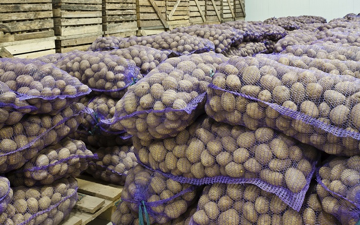 potato in storage house Chauffages en location pour conserver un stock de pommes de terre